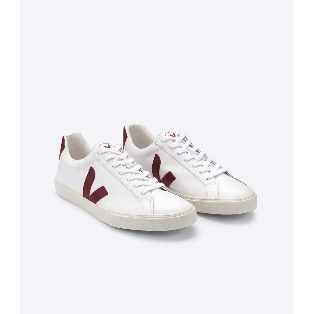 White/Red Men's Veja ESPLAR LEATHER Sneakers | AU 304XYU